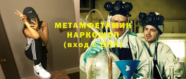 гашик Алексин