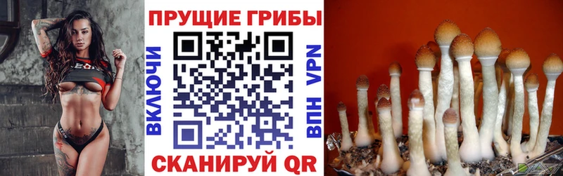 Галлюциногенные грибы Cubensis  Алзамай 